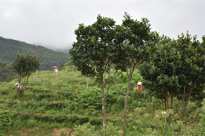 基地风采