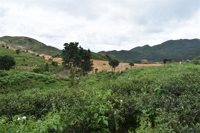 基地风采