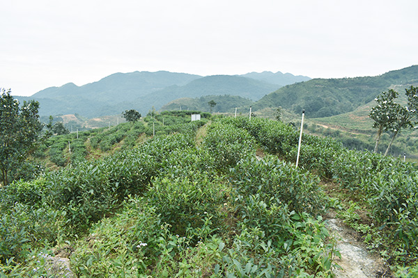 基地风采