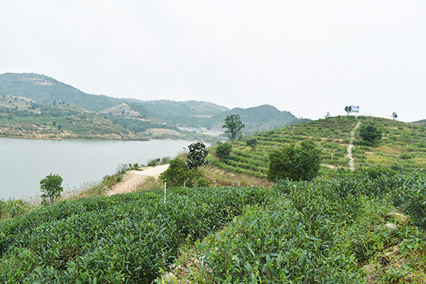 基地风采