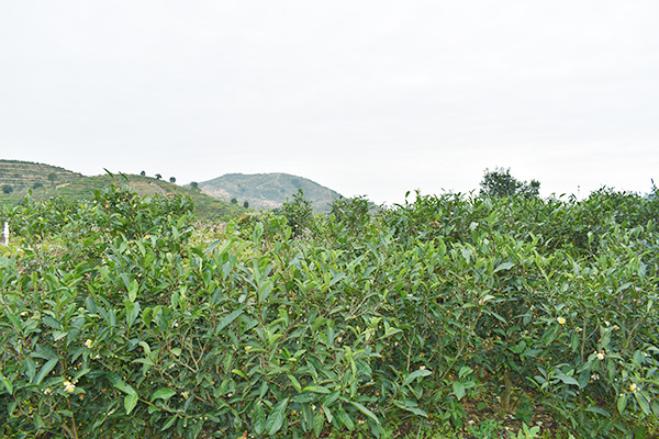 基地风采